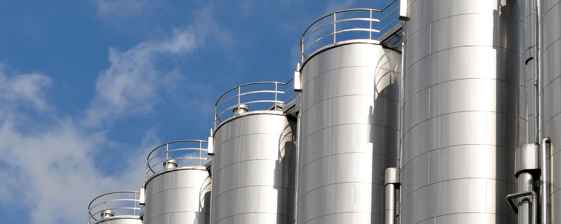 BUCHEN-ICS specialises in silo and storage vessel cleaning work.